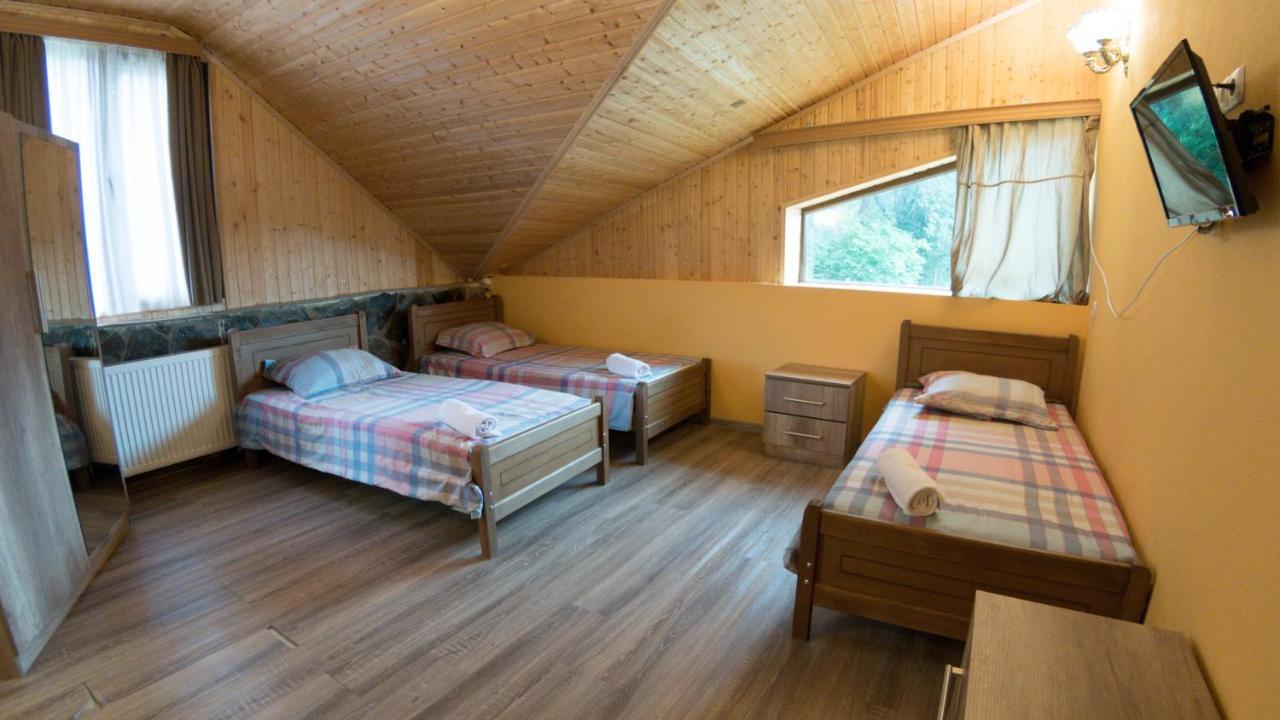 Hotel Eco House In باكورياني المظهر الخارجي الصورة