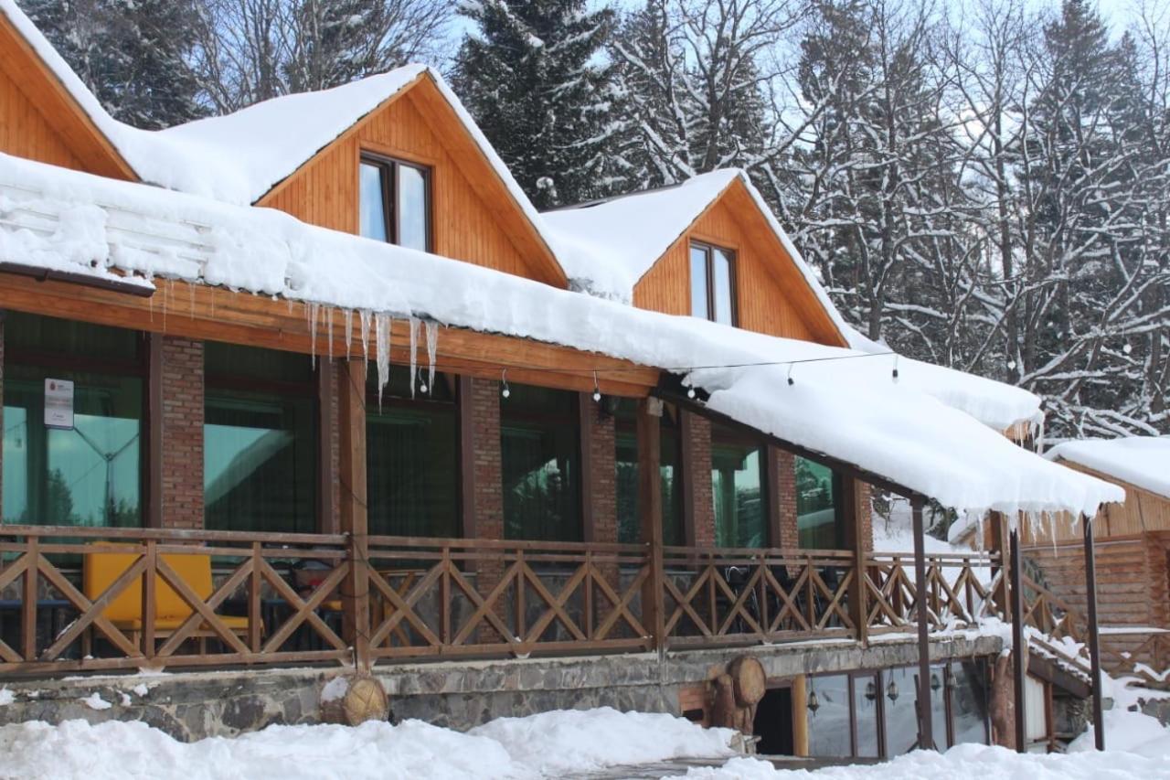 Hotel Eco House In باكورياني المظهر الخارجي الصورة